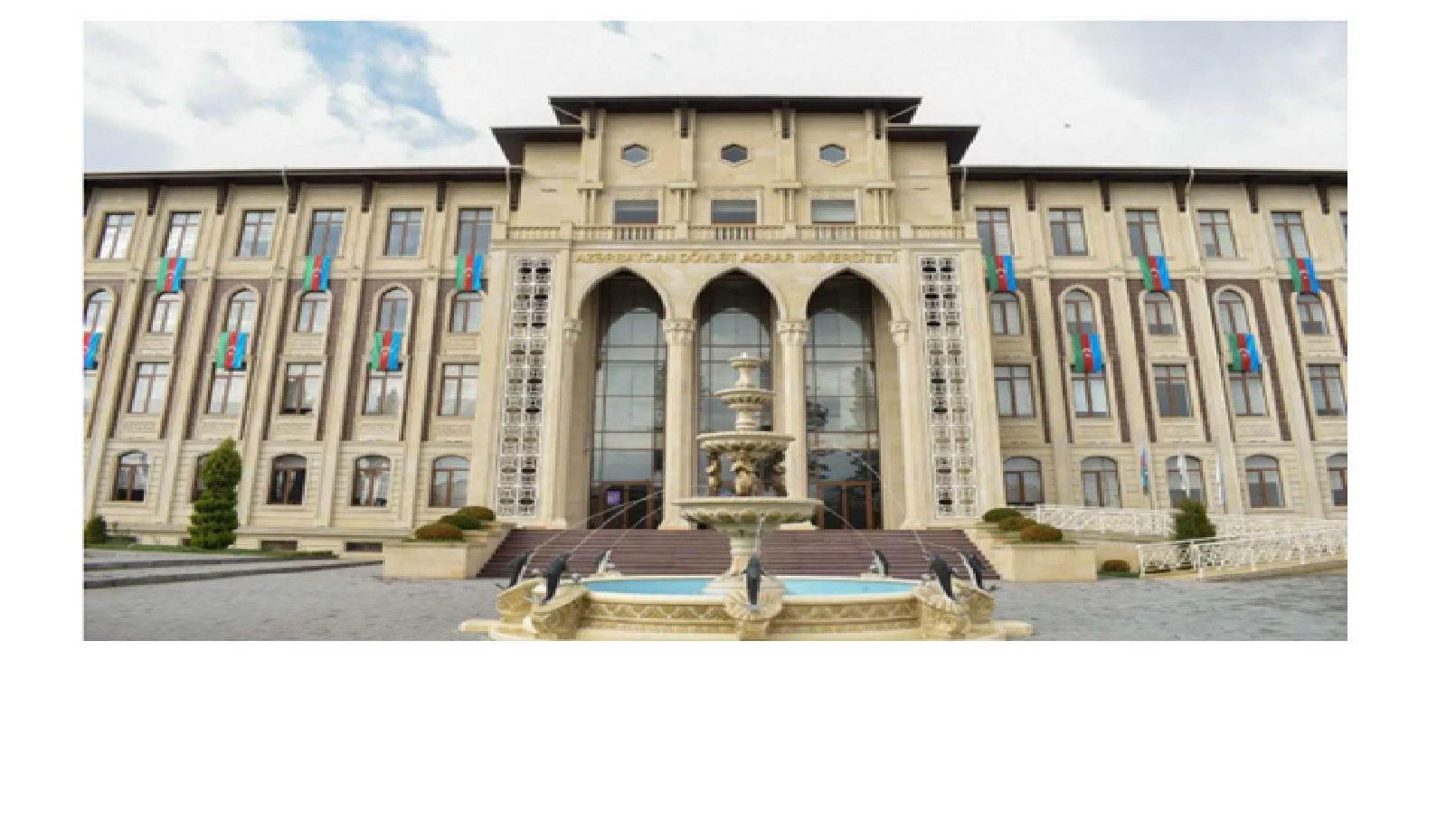 university